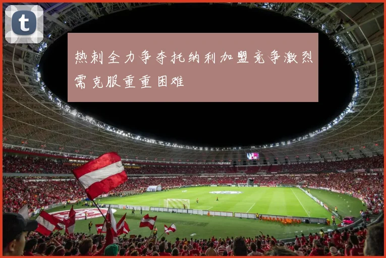 热刺全力争夺托纳利加盟竞争激烈需克服重重困难